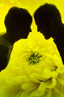 Photo Gallery sample