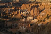 Bryce2019