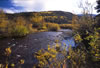 FallAtCreek-0110-32web