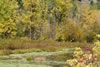 Scenic0984