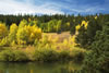 Scenic1374