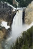 Yellowstone1767
