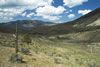 Yellowstone1786